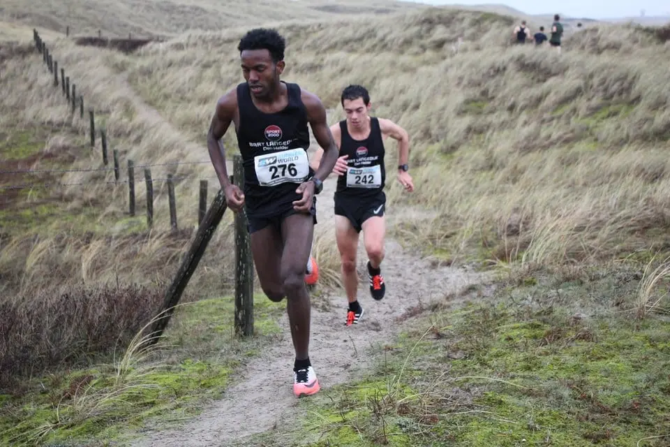 https___cdn-kiosk-api.telegraaf.nl_03b9cf22-f670-11e8-962d-eb7d3fdb810c