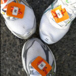 Ipico-chips inleveren